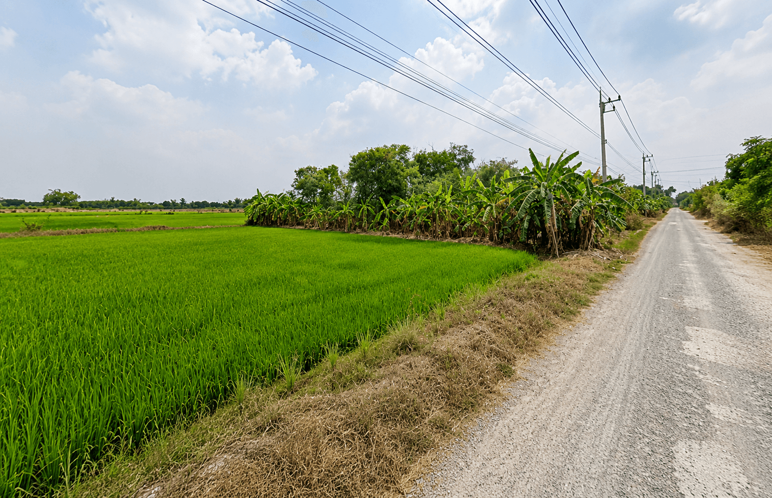 ขายที่ดิน 360 ตรวา (แบ่งขายได้) ใกล้ศาลายา วัดป่าศรีถาวรคลองโยง