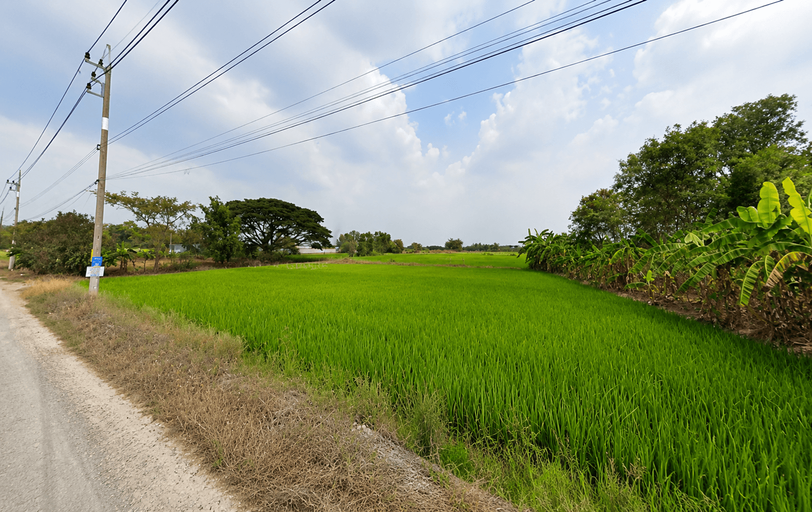 ขายที่ดิน 360 ตรวา (แบ่งขายได้) ใกล้ศาลายา วัดป่าศรีถาวรคลองโยง