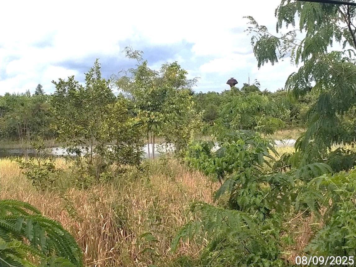 ขายที่ดินเปล่า 55 ไร่ บ้านใหม่หนองไทร อรัญประเทศ สระแก้ว ทำเลทองเขตเศรษฐกิจพิเศษชายแดน ราคา 74.6 ล้าน