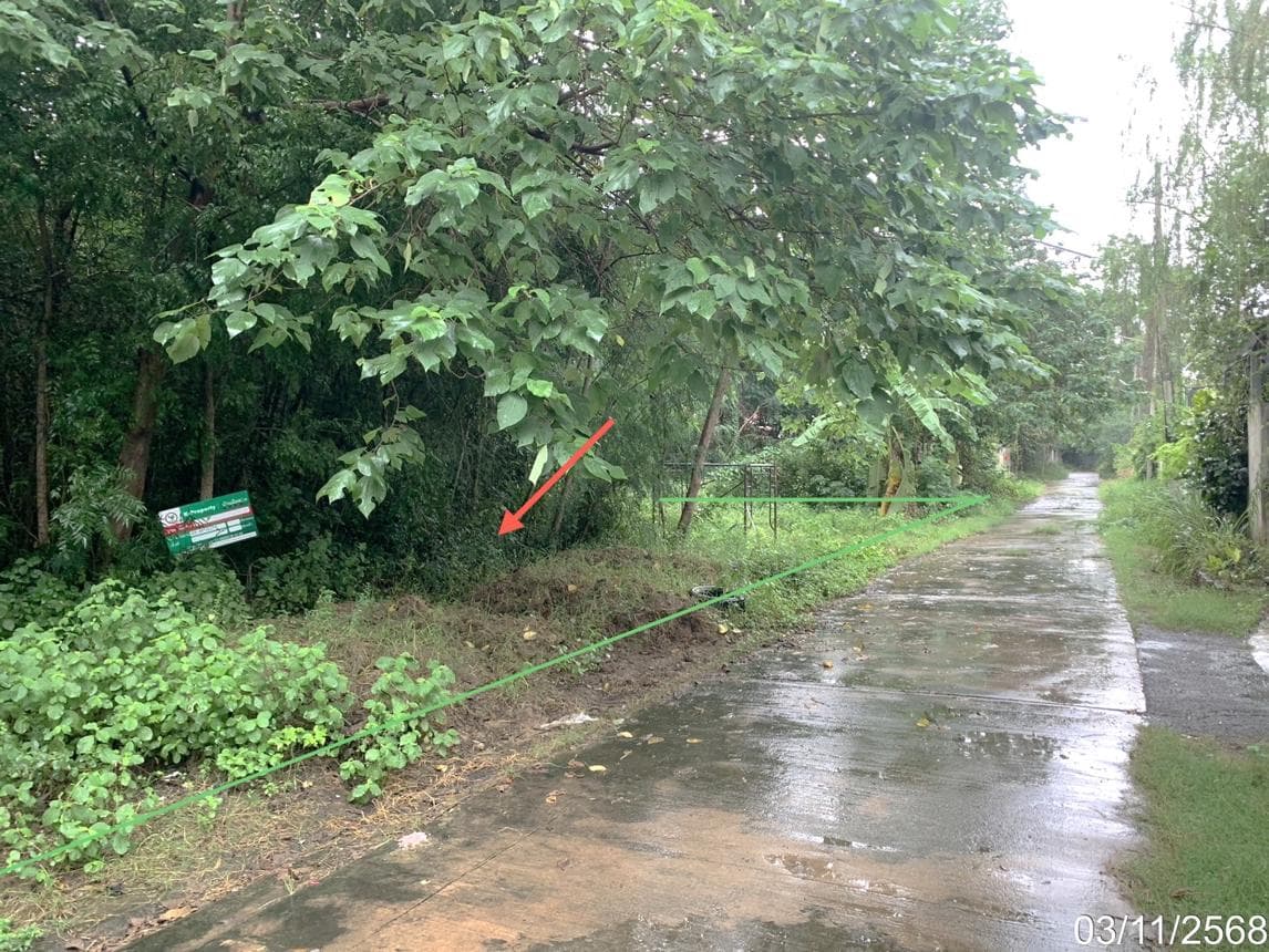 ขายที่ดินเปล่า 50 ตร.ว. ทำเลตาลเดี่ยว แก่งคอย สระบุรี ราคา 1.5 ล้าน เหมาะสร้างบ้านและลงทุน