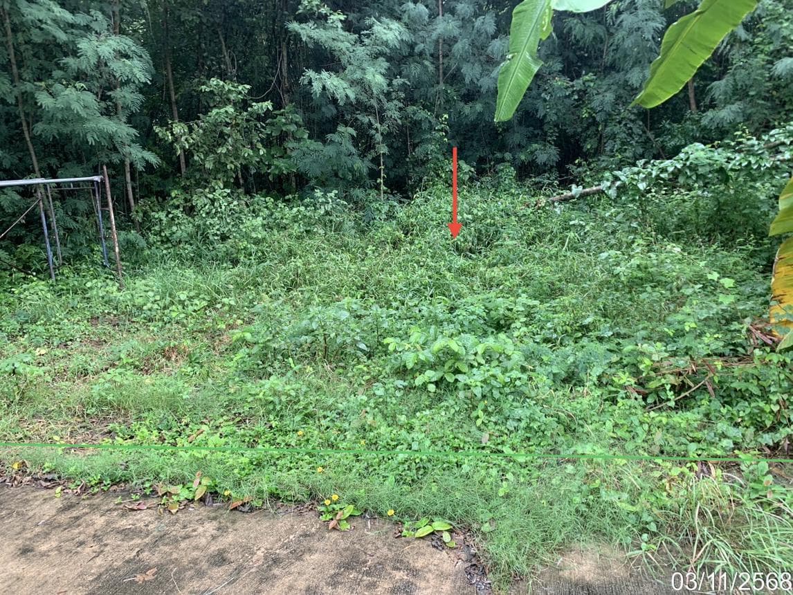 ขายที่ดินเปล่า 50 ตร.ว. ทำเลตาลเดี่ยว แก่งคอย สระบุรี ราคา 1.5 ล้าน เหมาะสร้างบ้านและลงทุน