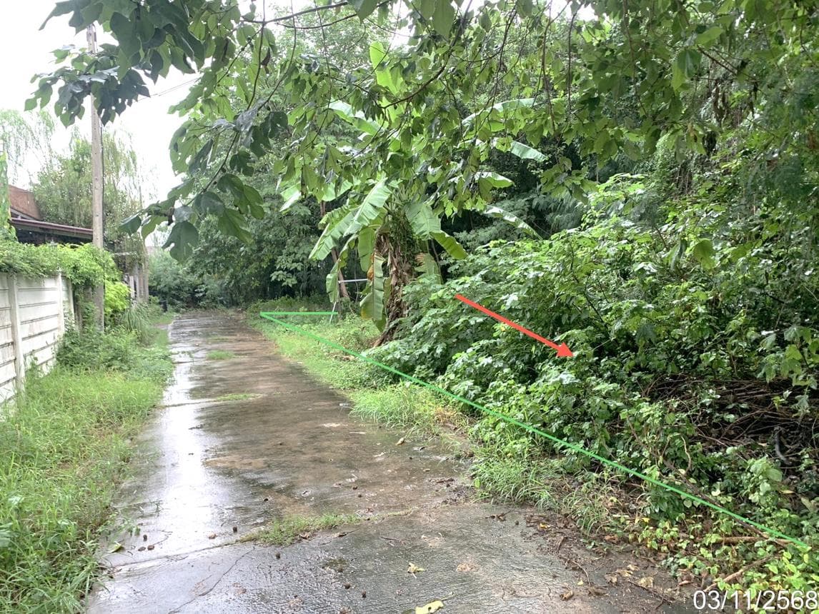 ขายที่ดินเปล่า 50 ตร.ว. ทำเลตาลเดี่ยว แก่งคอย สระบุรี ราคา 1.5 ล้าน เหมาะสร้างบ้านและลงทุน