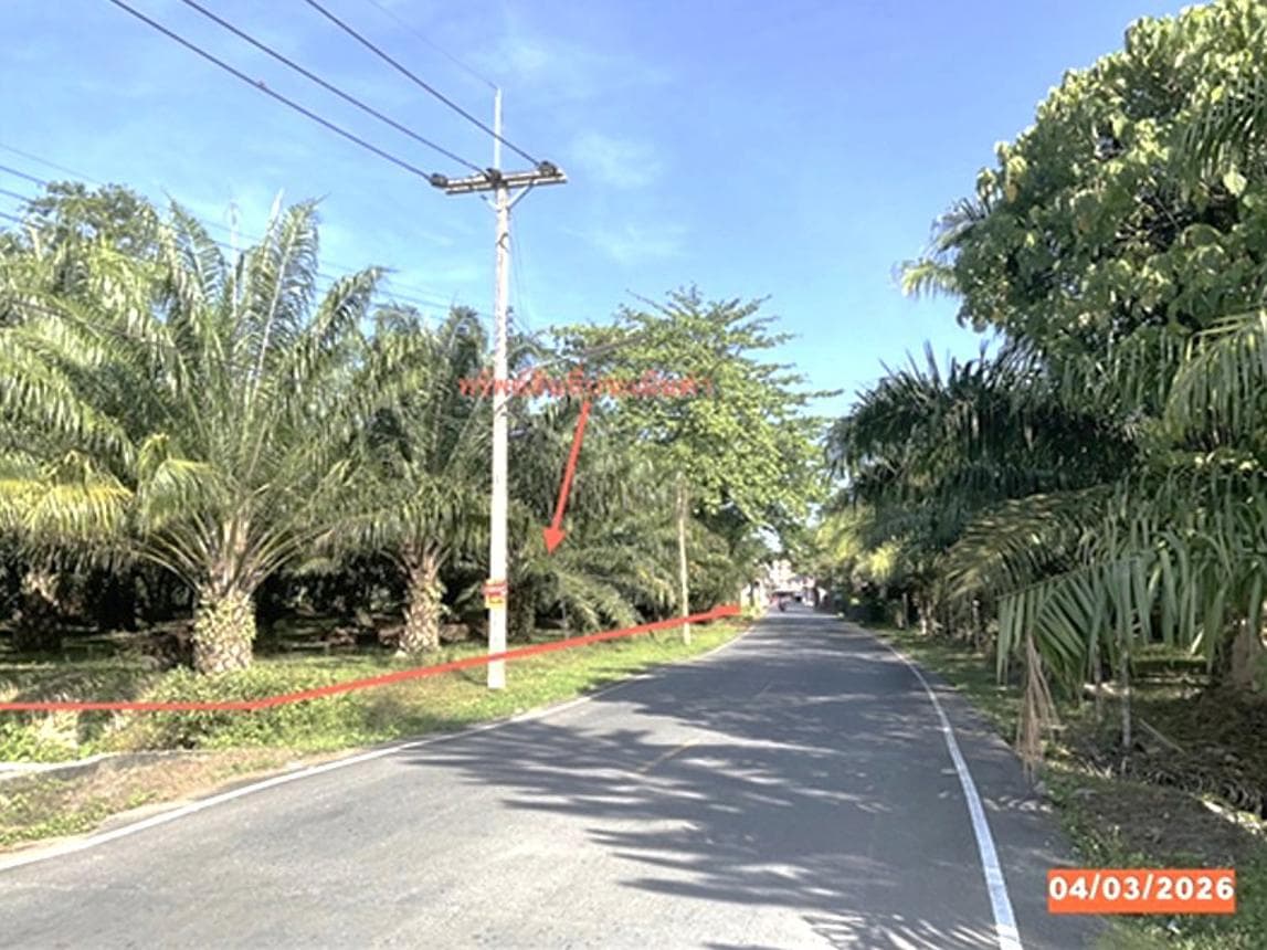 ขายที่ดินเปล่า ฉวาง นครศรีธรรมราช ทำเลฉวาง เนื้อที่ 33 ตร.ว. สภาพดี เหมาะสำหรับสร้างบ้านพักอาศัยหรือพัฒนาโครงการ