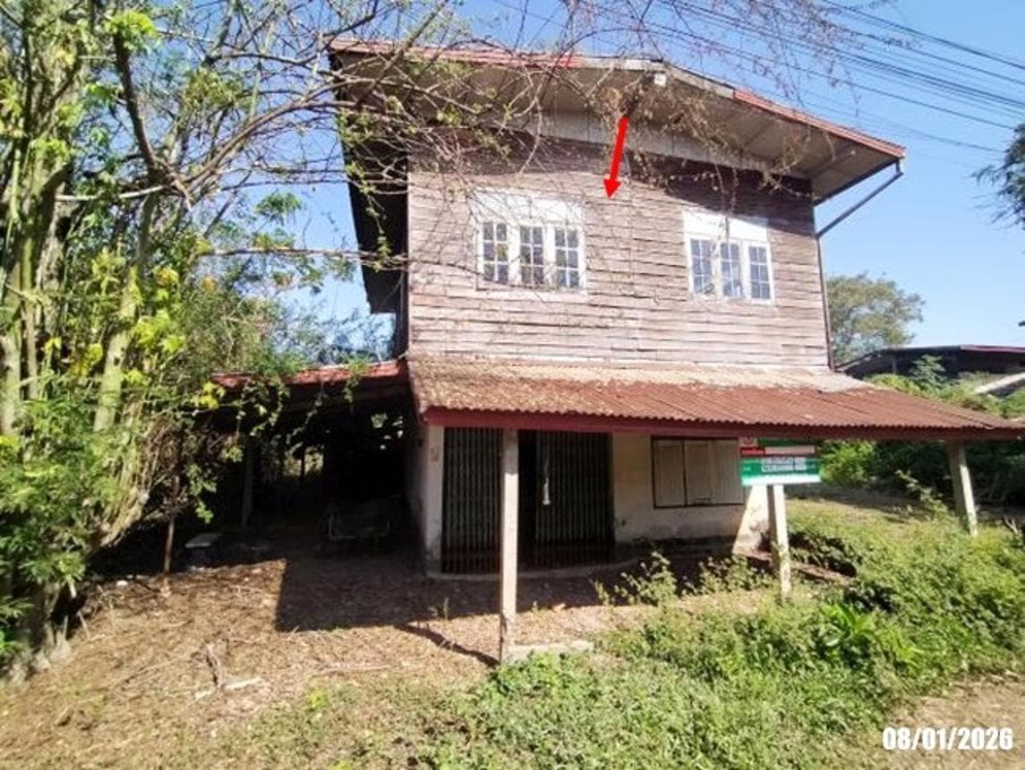 ขายบ้านเดี่ยว เมืองหนองคาย หนองคาย ทำเลพระธาตุบังพวน เนื้อที่ 56.4 ตร.ว. พื้นที่ใช้สอย 195 ตร.ม. สภาพดี พร้อมอยู่