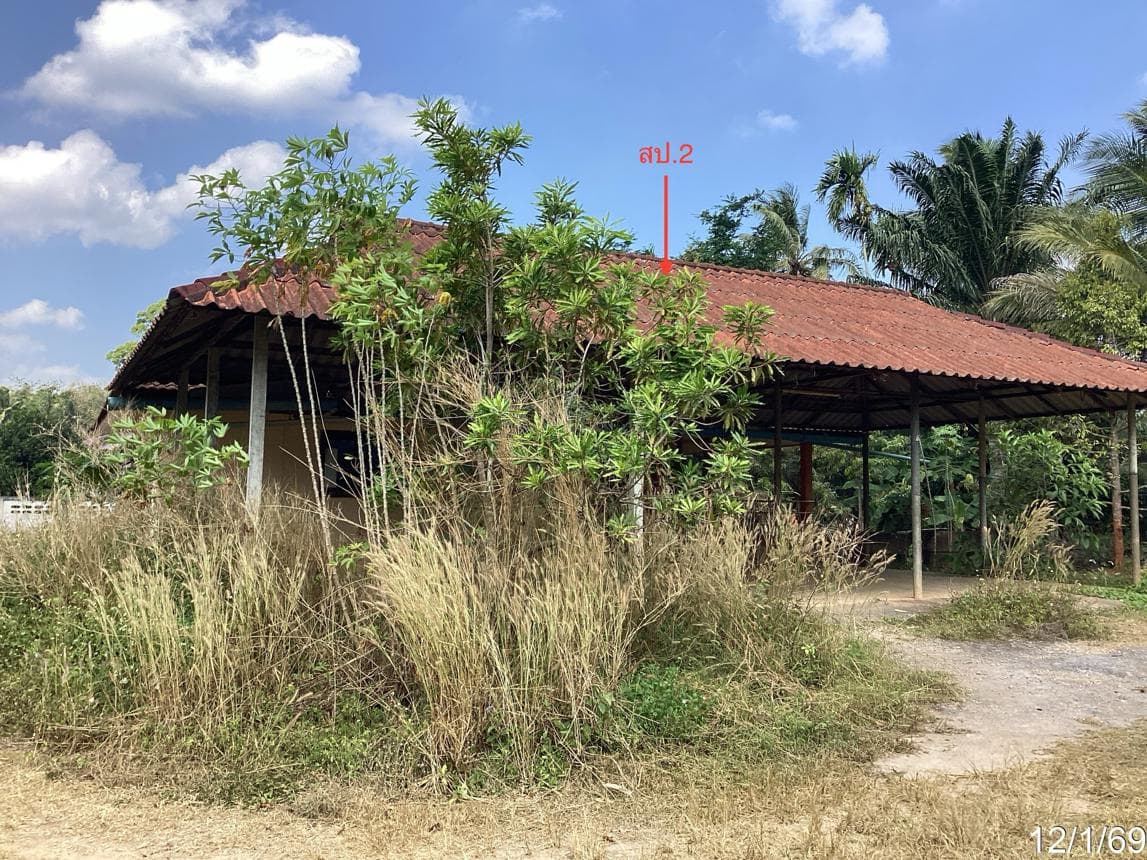 บ้านเดี่ยว 2 ห้องนอน 2 ห้องน้ำ พื้นที่ 168 ตร.ม. บนเนื้อที่ 51.8 ตร.ว. ทำเลสงบ ไชยราช บางสะพานน้อย จ.ประจวบคีรีขันธ์