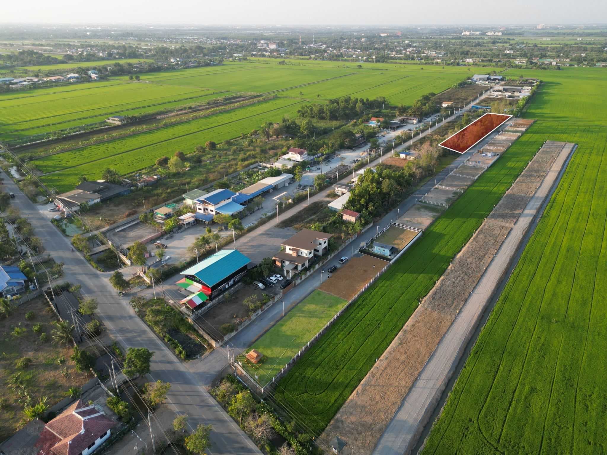 ที่ดิน 2 ไร่ ถมแล้ว บรรยากาศธรรมชาติ เหมาะสร้างบ้านหรือพัฒนาโครงการ หนองจอก