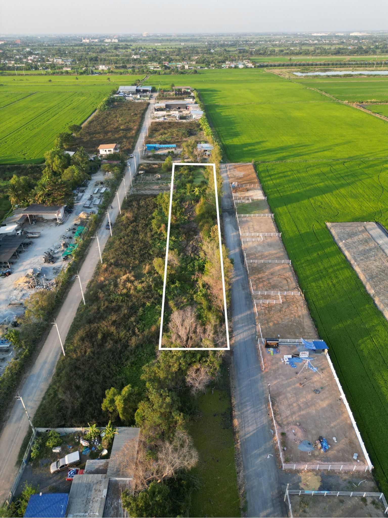 ที่ดิน 2 ไร่ ถมแล้ว บรรยากาศธรรมชาติ เหมาะสร้างบ้านหรือพัฒนาโครงการ หนองจอก