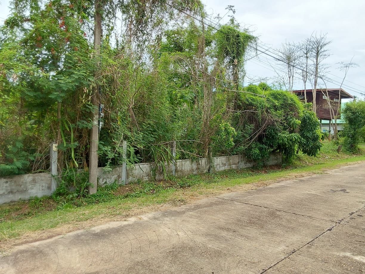ที่ดินเปล่า เจริญศิลป์ สกลนคร