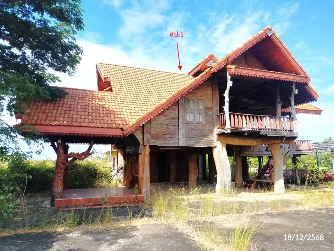 ขายบ้านเดี่ยว ตองโขบ โคกศรีสุพรรณ สกลนคร พื้นที่ 27 ตร.ว. พื้นที่ใช้สอย 280.5 ตร.ม. 2 ห้องนอน 2 ห้องน้ำ