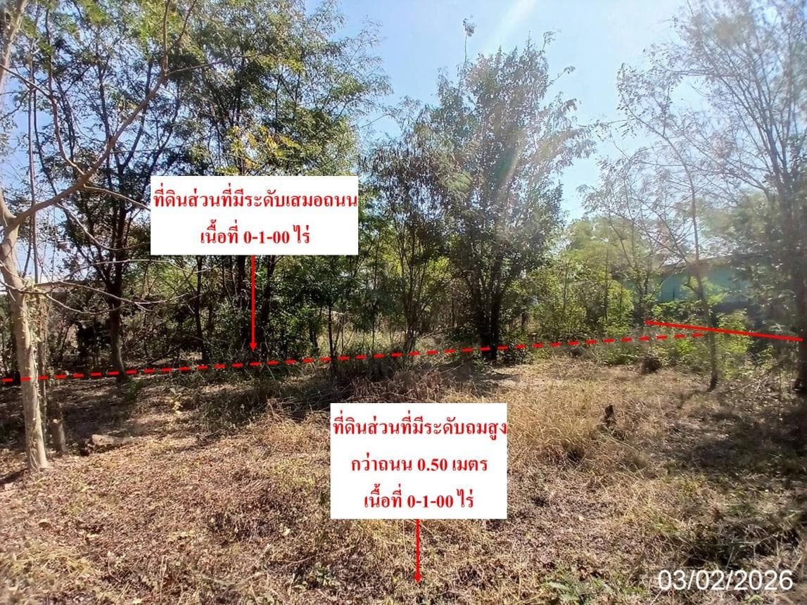 ขายที่ดินเปล่า หนองปลิง หนองแค สระบุรี ทำเลศักยภาพ ใกล้นิคมอุตสาหกรรมและแหล่งงาน ราคาคุ้มค่า