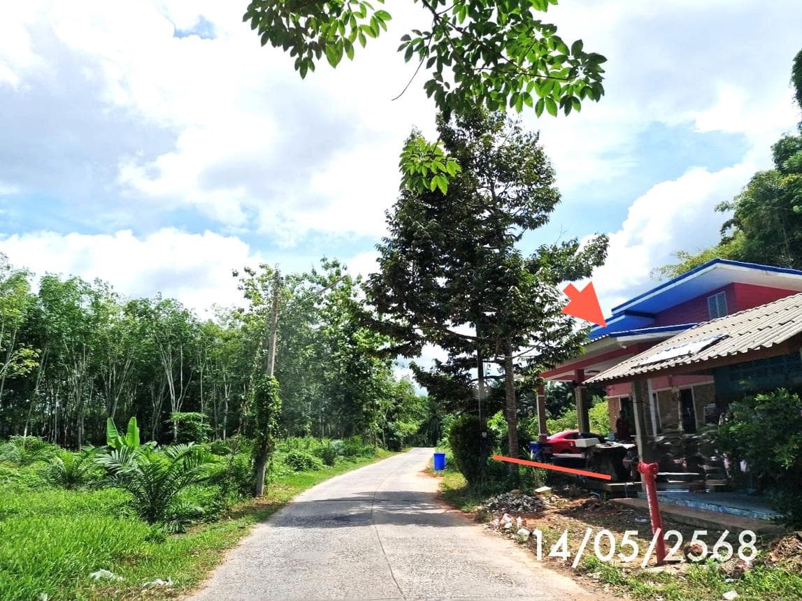 บ้านเดี่ยว ท่ายาง ทุ่งใหญ่ นครศรีธรรมราช 3 ห้องนอน 2 ห้องน้ำ พื้นที่ 136 ตร.ม. บนที่ดินกว้าง 94.2 ตร.ว.