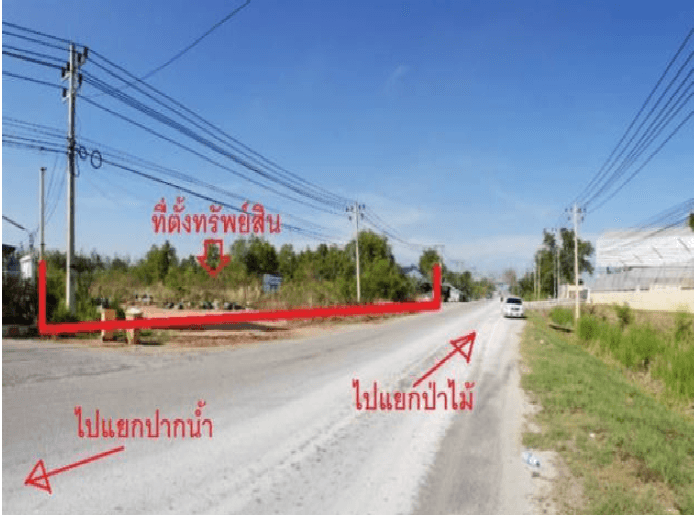ที่ดินว่างเปล่า เมืองสุราษฎร์ธานี