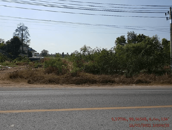 ที่ดินว่างเปล่า เมืองสุราษฎร์ธานี