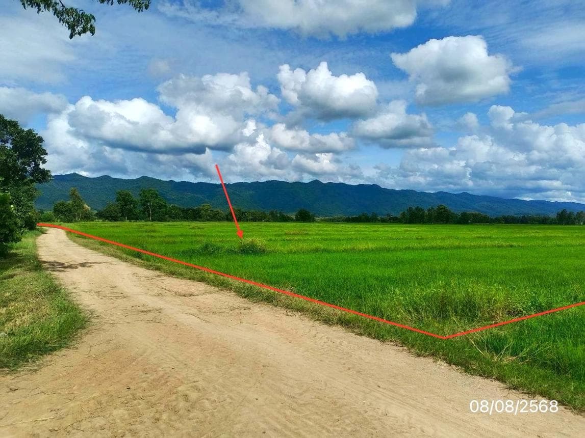 ขายที่ดินเปล่า สันโค้ง ดอกคำใต้ พะเยา 78 ตร.ว. ทำเลสวย เหมาะสร้างบ้านพักตากอากาศ หรือโฮมสเตย์
