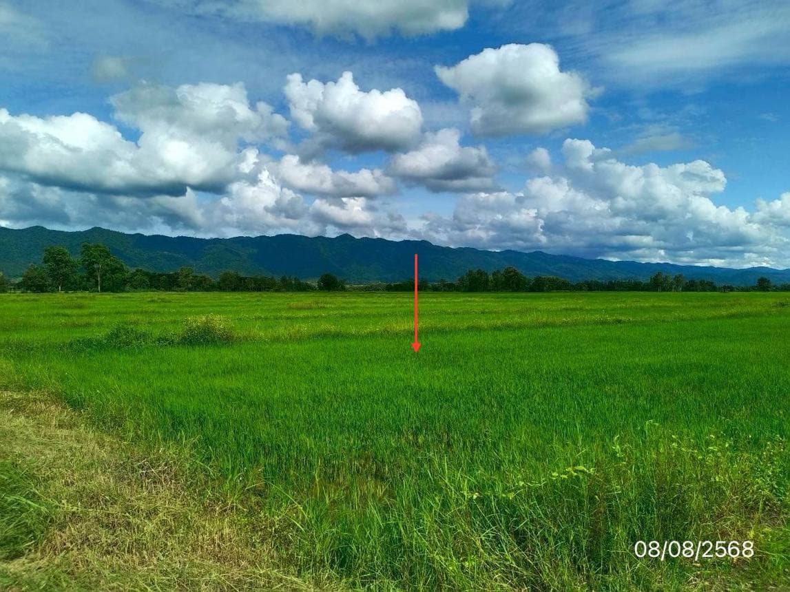 ขายที่ดินเปล่า สันโค้ง ดอกคำใต้ พะเยา 78 ตร.ว. ทำเลสวย เหมาะสร้างบ้านพักตากอากาศ หรือโฮมสเตย์