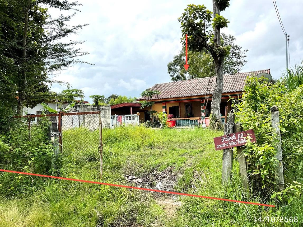 บ้านเดี่ยว หนองฉลอง ขุขันธ์ ศรีสะเกษ 1 ห้องนอน 1 ห้องน้ำ พื้นที่ใช้สอยกว้างขวาง 176 ตร.ม. ทำเลสงบเป็นส่วนตัว ราคาพิเศษ 1.55 ล้าน