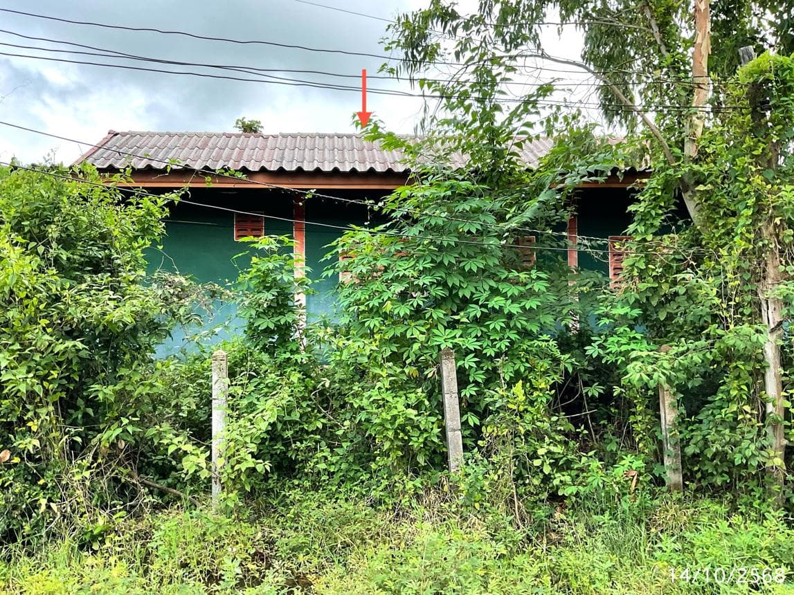 บ้านเดี่ยว หนองฉลอง ขุขันธ์ ศรีสะเกษ 1 ห้องนอน 1 ห้องน้ำ พื้นที่ใช้สอยกว้างขวาง 176 ตร.ม. ทำเลสงบเป็นส่วนตัว ราคาพิเศษ 1.55 ล้าน