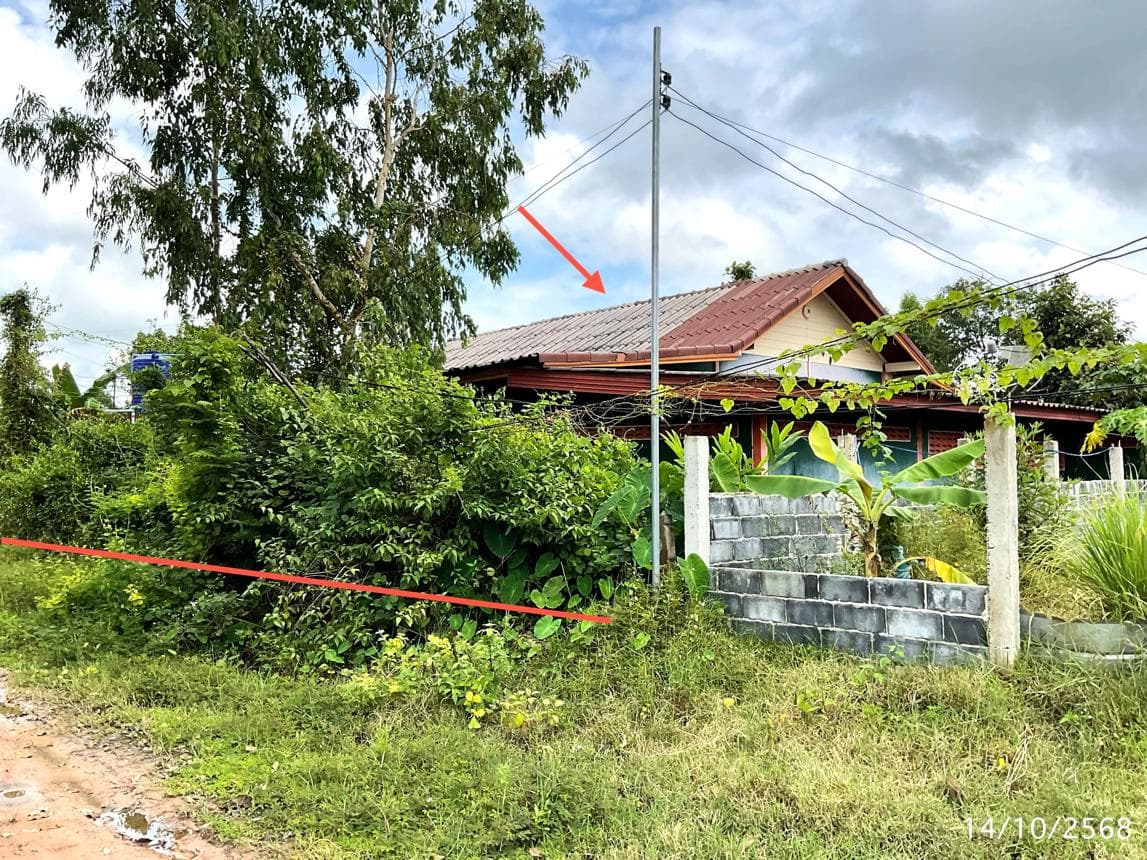 บ้านเดี่ยว หนองฉลอง ขุขันธ์ ศรีสะเกษ 1 ห้องนอน 1 ห้องน้ำ พื้นที่ใช้สอยกว้างขวาง 176 ตร.ม. ทำเลสงบเป็นส่วนตัว ราคาพิเศษ 1.55 ล้าน