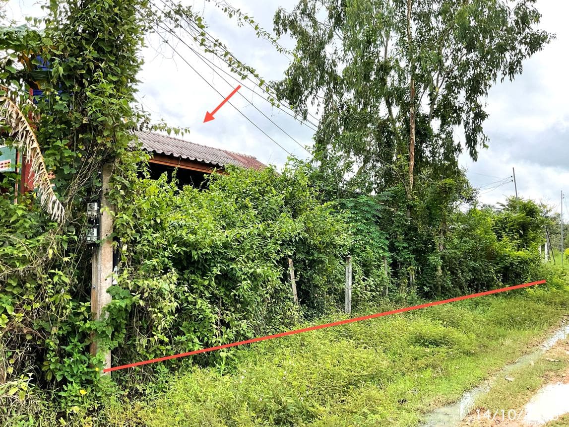 บ้านเดี่ยว หนองฉลอง ขุขันธ์ ศรีสะเกษ 1 ห้องนอน 1 ห้องน้ำ พื้นที่ใช้สอยกว้างขวาง 176 ตร.ม. ทำเลสงบเป็นส่วนตัว ราคาพิเศษ 1.55 ล้าน