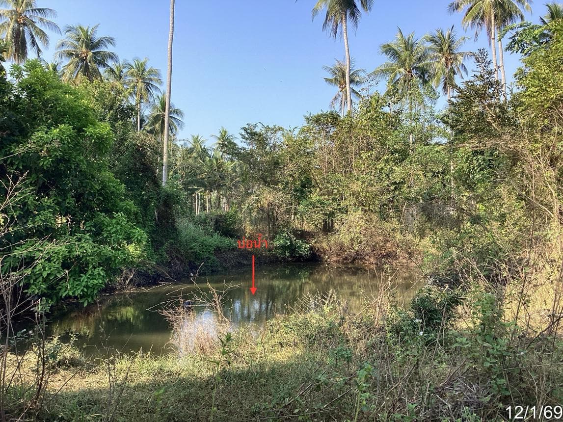 ขายบ้านเดี่ยว 2 ห้องนอน ธงชัย บางสะพาน ทำเลสงบ ใกล้ชิดธรรมชาติ ประจวบคีรีขันธ์