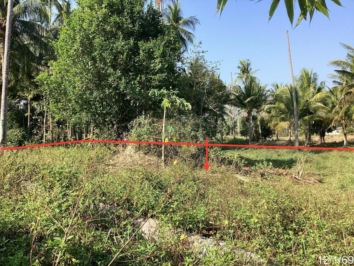 ขายบ้านเดี่ยว 2 ห้องนอน ธงชัย บางสะพาน ทำเลสงบ ใกล้ชิดธรรมชาติ ประจวบคีรีขันธ์