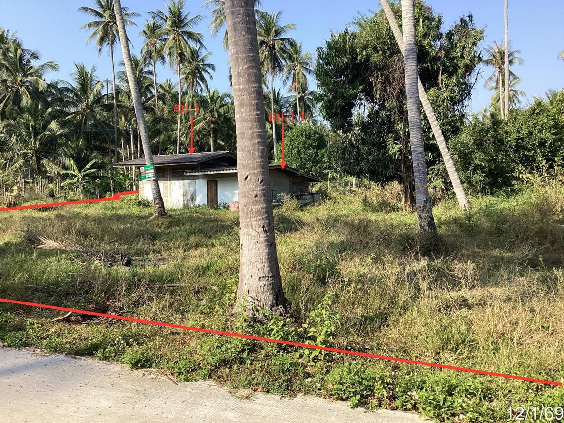 ขายบ้านเดี่ยว 2 ห้องนอน ธงชัย บางสะพาน ทำเลสงบ ใกล้ชิดธรรมชาติ ประจวบคีรีขันธ์