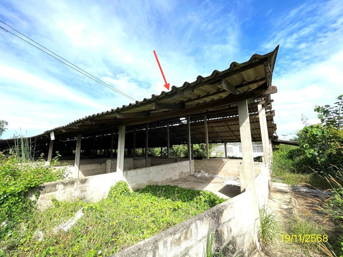 ฟาร์ม พื้นที่ 1757 ตร.ม. ทำเลศักยภาพ เตาปูน โพธาราม ราชบุรี