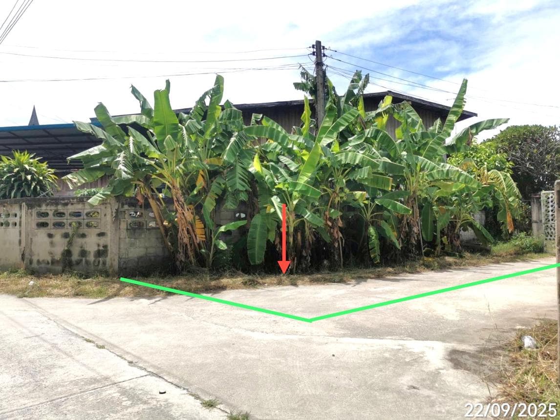 บ้านเดี่ยว จรเข้สามพัน อู่ทอง สุพรรณบุรี 4 ห้องนอน 1 ห้องน้ำ พื้นที่กว้างขวาง 240 ตร.ม. บนเนื้อที่ 34 ตร.ว. ทำเลสงบราคาล้านกลางๆ
