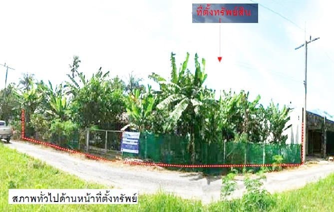 ที่ดินว่างเปล่า เขาพนม-กระบี่
