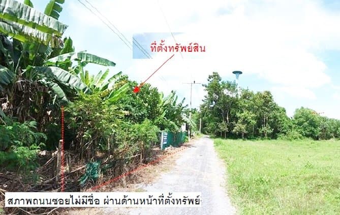 ที่ดินว่างเปล่า เขาพนม-กระบี่