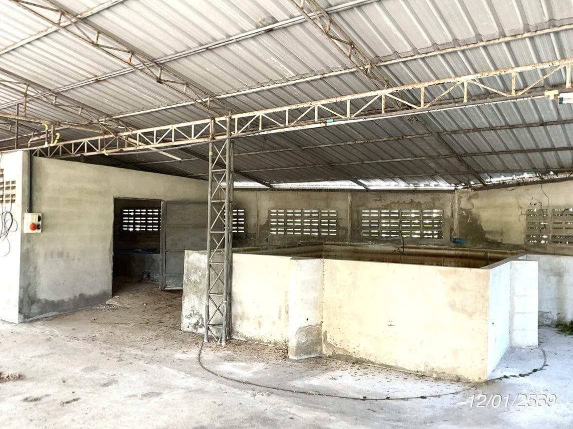 บ้านเดี่ยว 2 ห้องนอน พื้นที่ 115.5 ตร.ม. ทำเลศักยภาพ หนองแก้ว ประจันตคาม ปราจีนบุรี