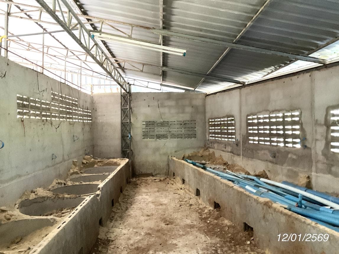 บ้านเดี่ยว 2 ห้องนอน พื้นที่ 115.5 ตร.ม. ทำเลศักยภาพ หนองแก้ว ประจันตคาม ปราจีนบุรี
