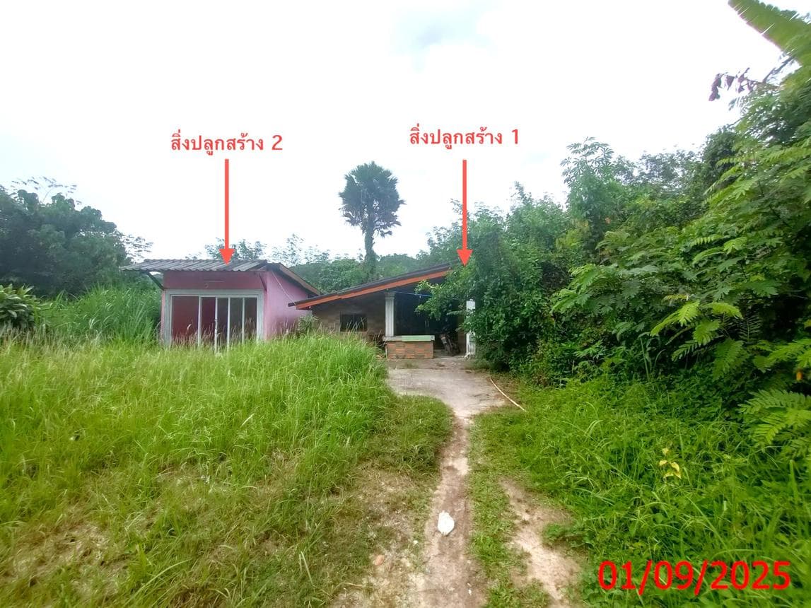 ขายบ้านเดี่ยว เขาแดง สะบ้าย้อย สงขลา 2 ห้องนอน พื้นที่กว้าง 77 ตร.ว. บรรยากาศส่วนตัว