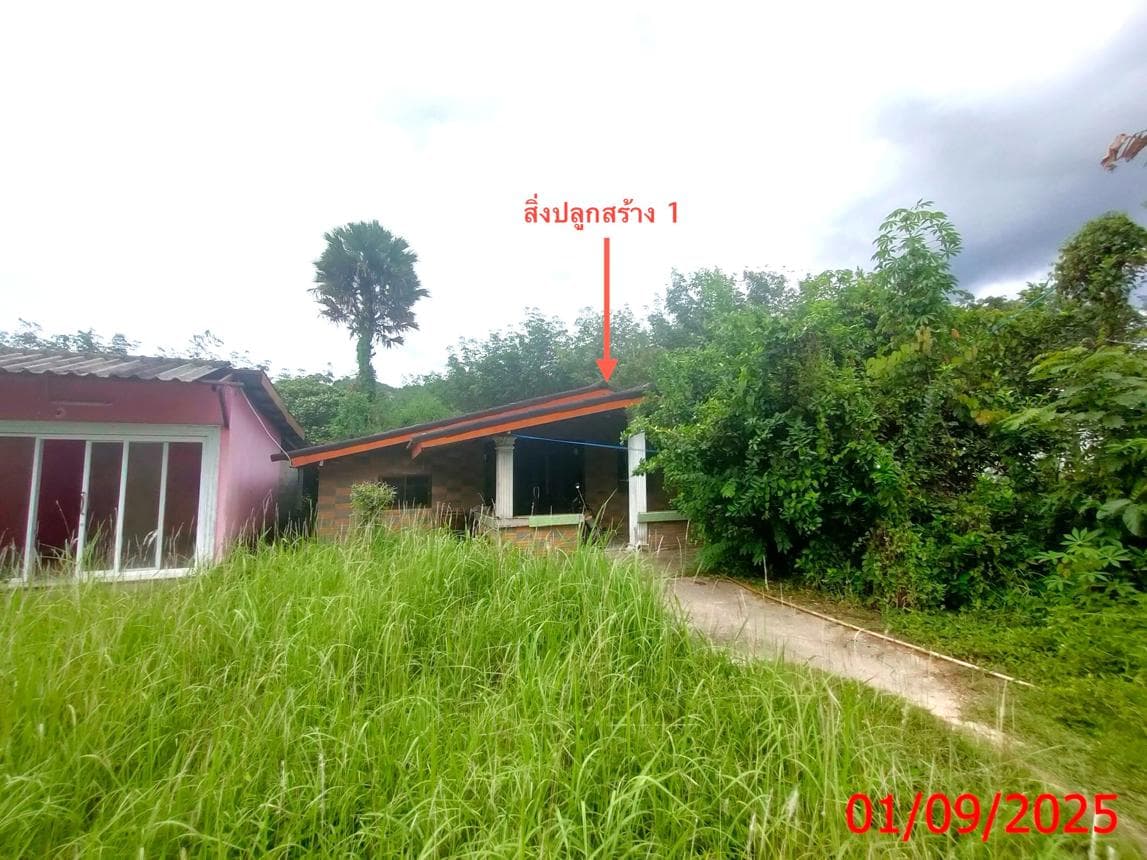 ขายบ้านเดี่ยว เขาแดง สะบ้าย้อย สงขลา 2 ห้องนอน พื้นที่กว้าง 77 ตร.ว. บรรยากาศส่วนตัว