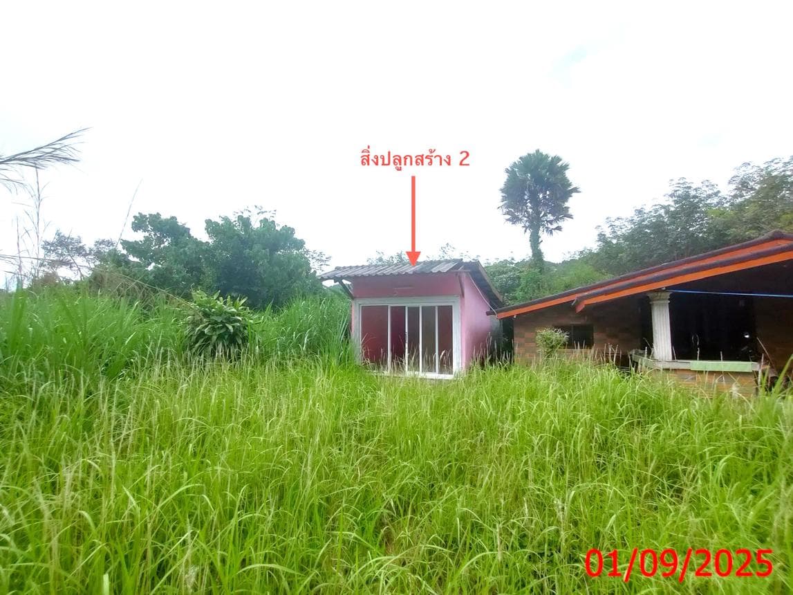 ขายบ้านเดี่ยว เขาแดง สะบ้าย้อย สงขลา 2 ห้องนอน พื้นที่กว้าง 77 ตร.ว. บรรยากาศส่วนตัว