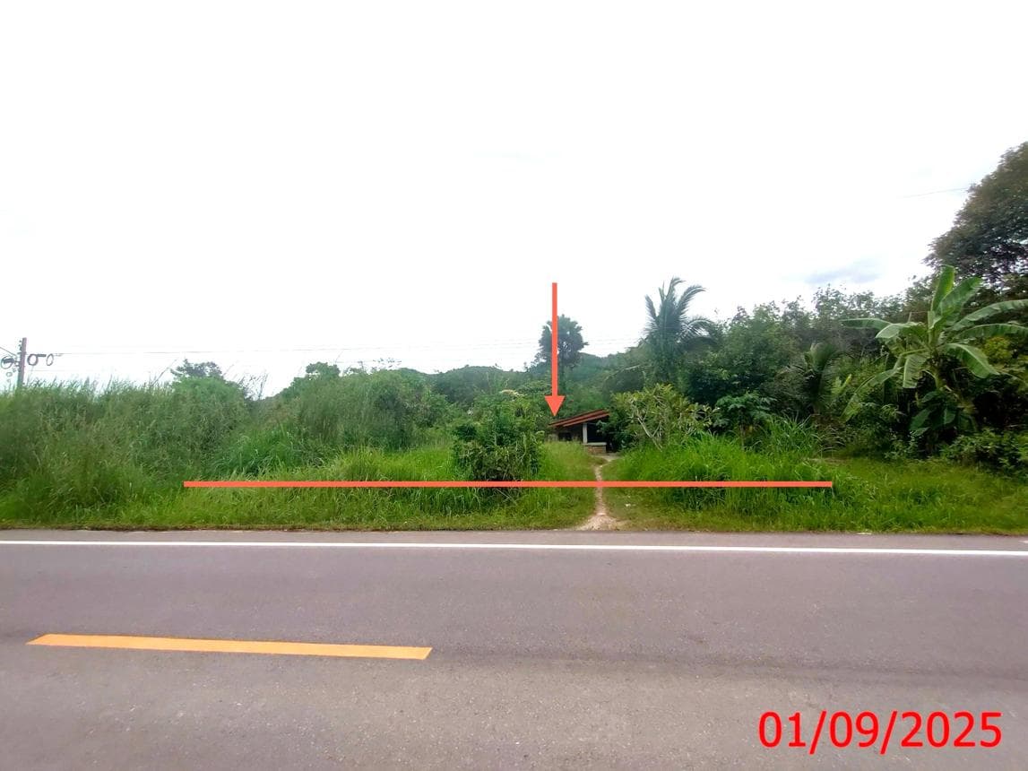 ขายบ้านเดี่ยว เขาแดง สะบ้าย้อย สงขลา 2 ห้องนอน พื้นที่กว้าง 77 ตร.ว. บรรยากาศส่วนตัว