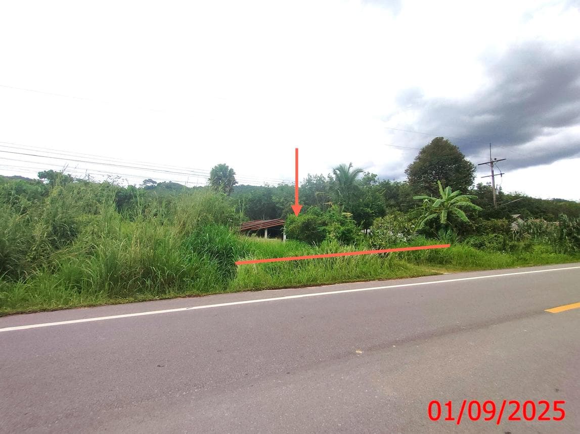 ขายบ้านเดี่ยว เขาแดง สะบ้าย้อย สงขลา 2 ห้องนอน พื้นที่กว้าง 77 ตร.ว. บรรยากาศส่วนตัว