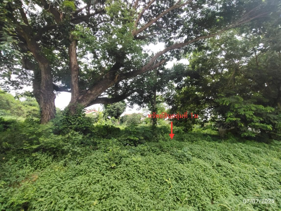 ที่ดินว่างเปล่าผืนใหญ่ เนื้อที่ 53.8 ไร่ ทำเลศักยภาพ ท่าเสา เมืองอุตรดิตถ์ จ.อุตรดิตถ์