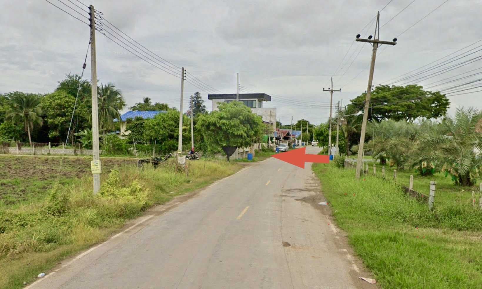ขายที่ดินแปลงใหญ่ 19 ไร่ ทำเลศักยภาพ อ.ปากช่อง จ.นครราชสีมา