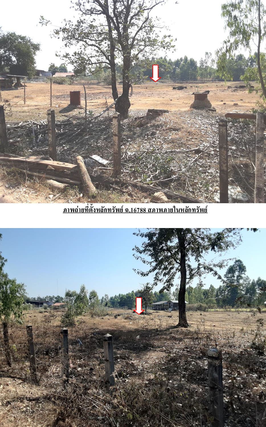 ที่ดินพร้อมสิ่งปลูกสร้าง นาหว้า นครพนม