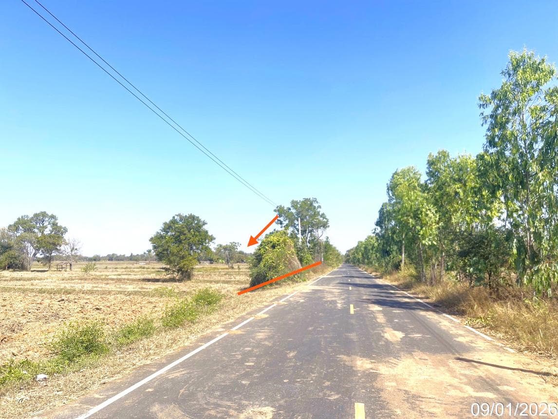 ที่ดินว่างเปล่า บ้านดู่ นาโพธิ์ บุรีรัมย์ เนื้อที่ 44.0 ตร.ว. ทำเลดีใกล้แหล่งชุมชน เหมาะสำหรับปลูกสร้างที่อยู่อาศัย ราคาพิเศษ 4.09 ล้าน