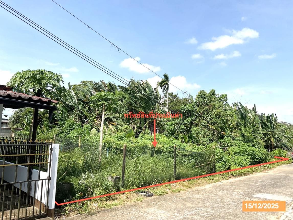 ขายที่ดินเปล่า เมืองตรัง ตรัง ทำเลทับเที่ยง เนื้อที่ 19.4 ตร.ว. เหมาะสำหรับสร้างที่อยู่อาศัยและลงทุน