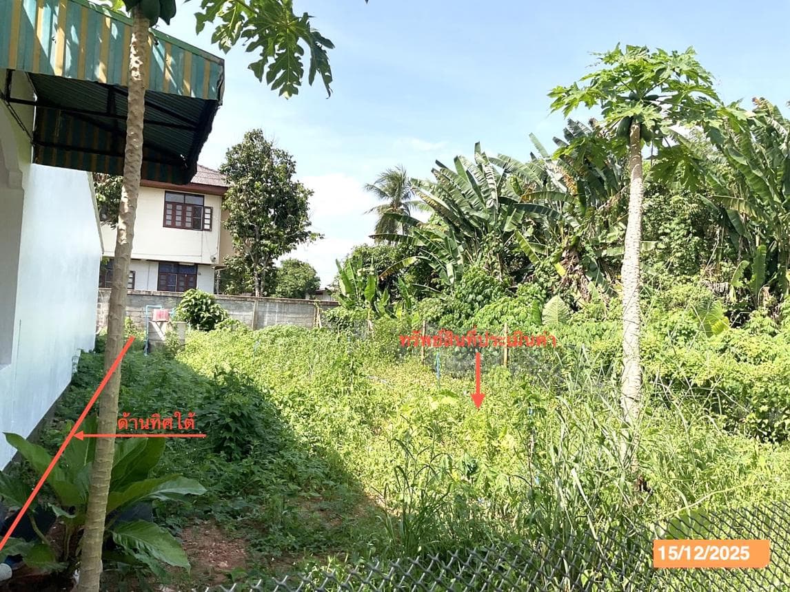 ขายที่ดินเปล่า เมืองตรัง ตรัง ทำเลทับเที่ยง เนื้อที่ 19.4 ตร.ว. เหมาะสำหรับสร้างที่อยู่อาศัยและลงทุน
