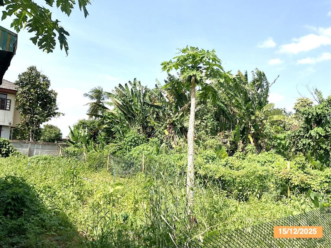 ขายที่ดินเปล่า เมืองตรัง ตรัง ทำเลทับเที่ยง เนื้อที่ 19.4 ตร.ว. เหมาะสำหรับสร้างที่อยู่อาศัยและลงทุน