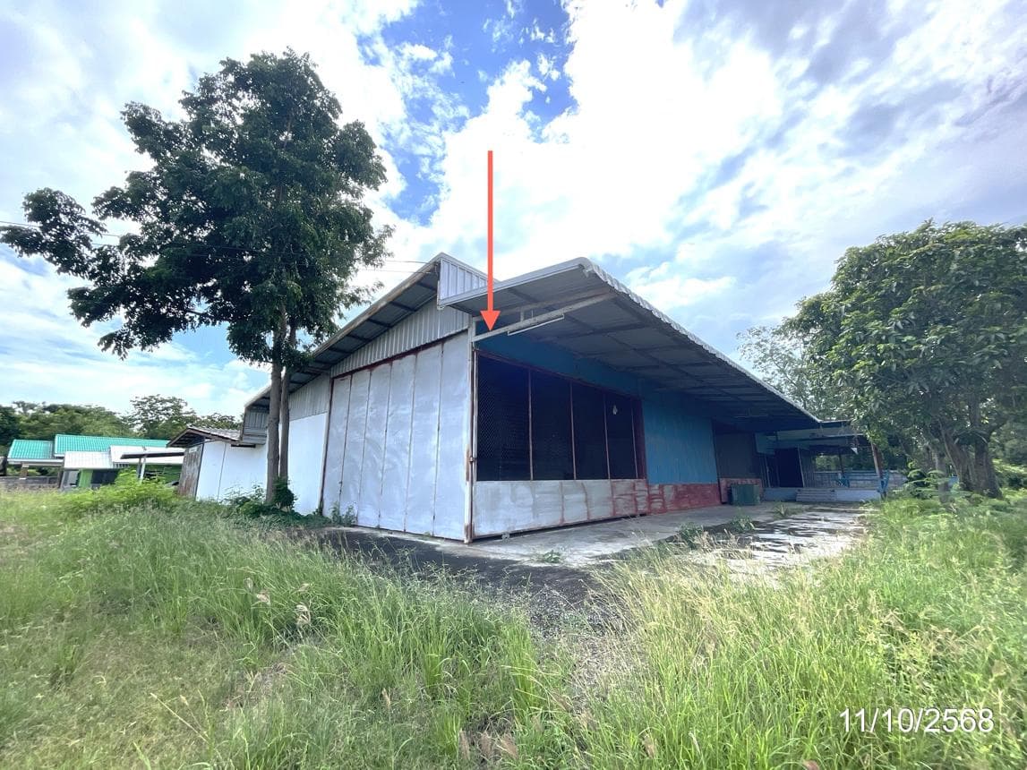 ขายโกดัง เมืองนครสวรรค์ ทำเลหนองกระโดน พื้นที่ใช้สอย 244 ตร.ม. บนที่ดิน 74.9 ตร.ว. เหมาะสำหรับคลังสินค้าและธุรกิจ