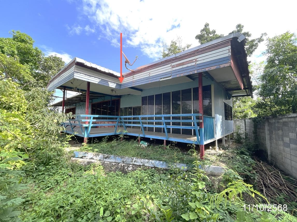 ขายโกดัง เมืองนครสวรรค์ ทำเลหนองกระโดน พื้นที่ใช้สอย 244 ตร.ม. บนที่ดิน 74.9 ตร.ว. เหมาะสำหรับคลังสินค้าและธุรกิจ