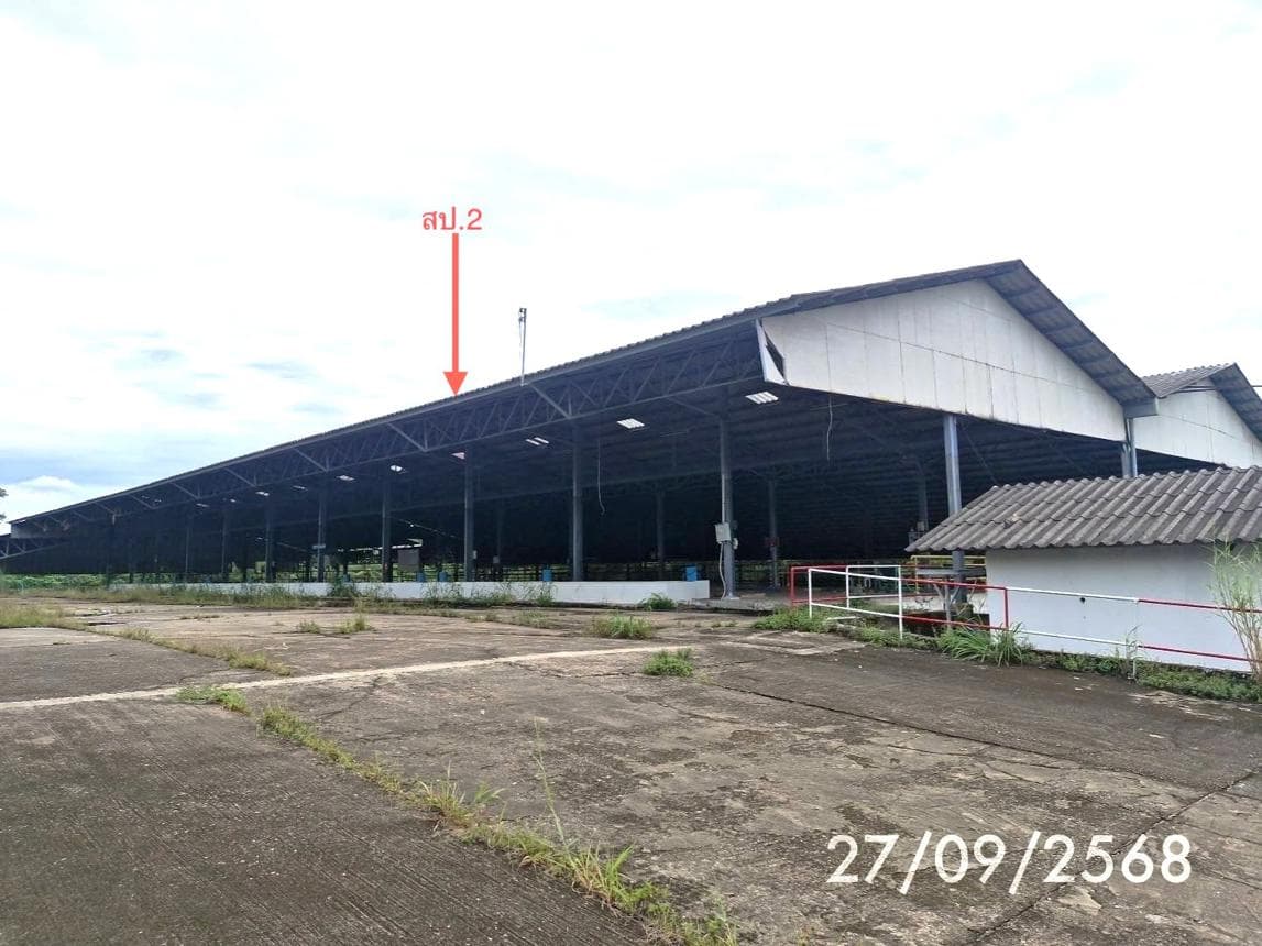 ขายอาคารโรงงาน นาเมืองเพชร สิเกา ตรัง พื้นที่ใช้สอย 5220 ตร.ม. ทำเลอุตสาหกรรม