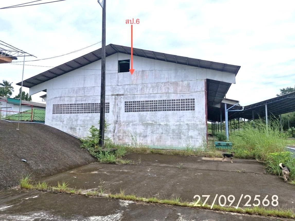 ขายอาคารโรงงาน นาเมืองเพชร สิเกา ตรัง พื้นที่ใช้สอย 5220 ตร.ม. ทำเลอุตสาหกรรม