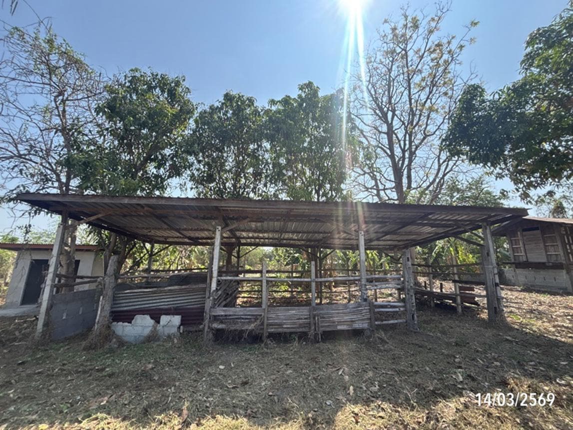 บ้านเดี่ยว ดอนชมพู โนนสูง นครราชสีมา พื้นที่ 96 ตร.ว. พื้นที่ใช้สอย 43 ตร.ม. 1 ห้องนอน 1 ห้องน้ำ