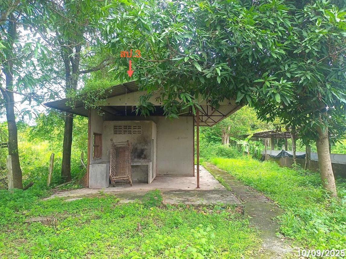 ขายโกดัง เดชอุดม อุบลราชธานี ทำเลป่าโมง เนื้อที่ 89 ตร.ว. พื้นที่ใช้สอย 1,450 ตร.ม. สภาพดี เหมาะสำหรับประกอบกิจการและลงทุน